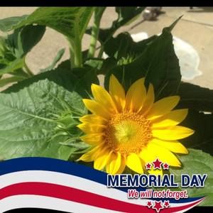 Meet your Posher, Lynn